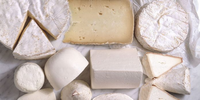 Nisin: Cheese Can Target Cancer Cells