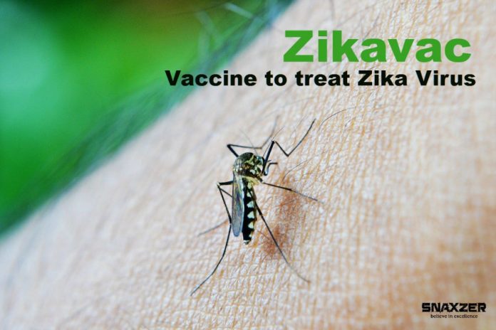 Zikavac: Vaccine to treat Zika Virus