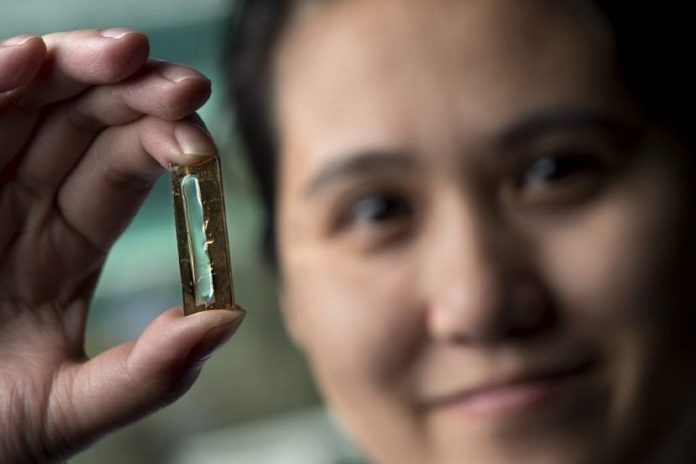 Mya Le Thai with Nanowire-based battery on hand