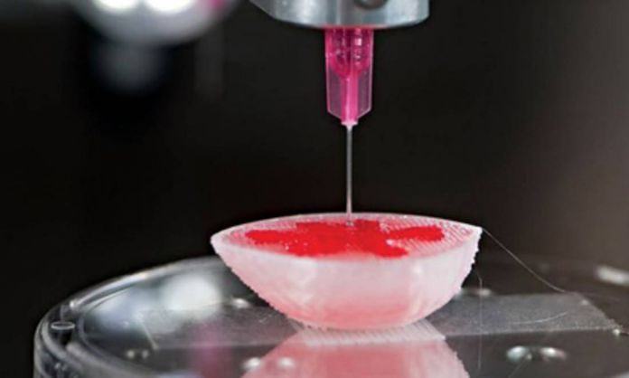 A New Bio-Ink for 3D Printing with Stem Cells