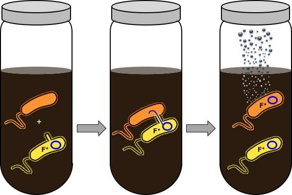 Gas Biosensor 'See' Through Soil to Analyze Microbial Interactions