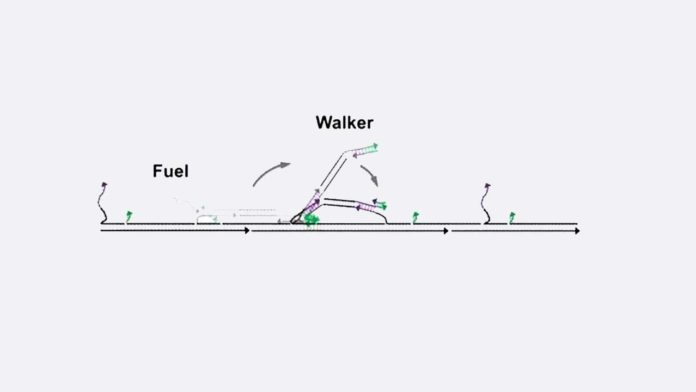 Tiny DNA Nano Walker Walk with Record Fuel Efficiency