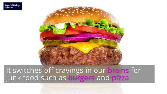 Inulin-Propionate Ester: A Supplement That Can Switch Off Junk Food Cravings