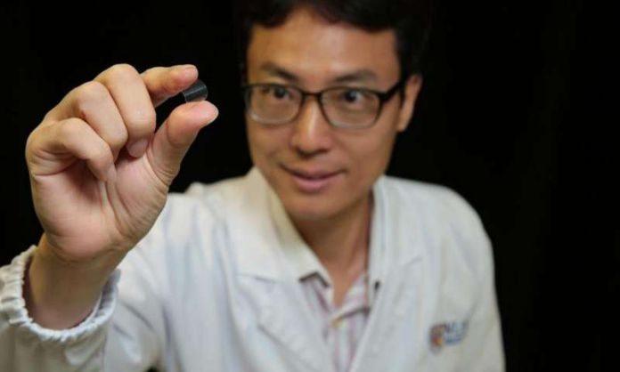 Scientists developed new flexible magnetic plastic memory device