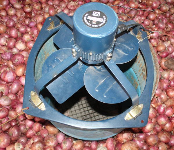 Indian Teen Finds Low Cost Onion Storage Facility