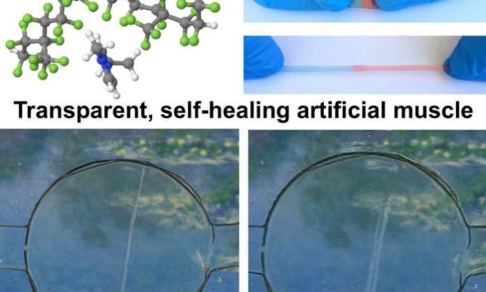 A Transparent, Self-healing, Highly Stretchable Ionic Conductor