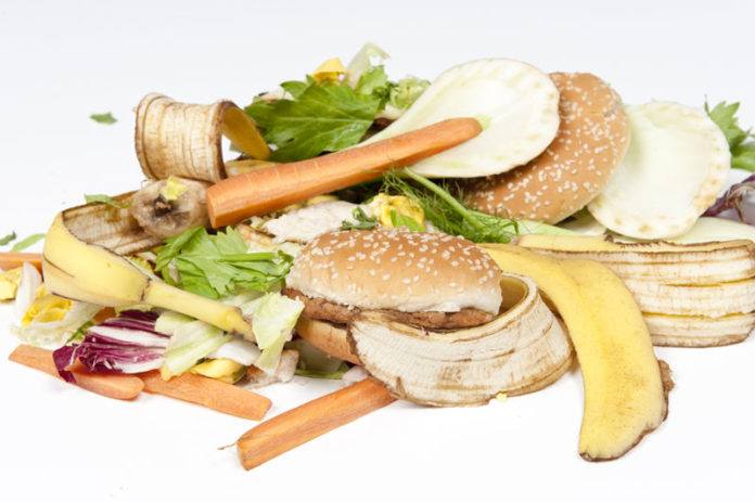 Fifth of world's food lost to over-eating and waste