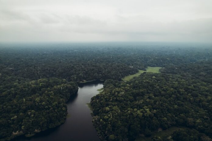 Amazon river, Amazon jungle