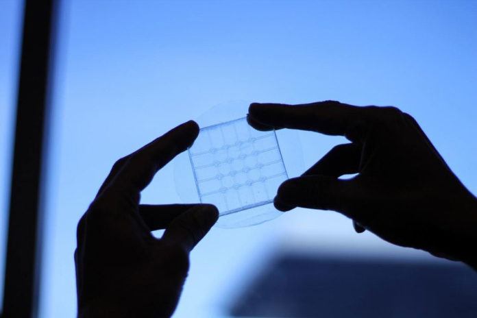 New Flexible Sensor Holds Potential For Foldable Touch Screens