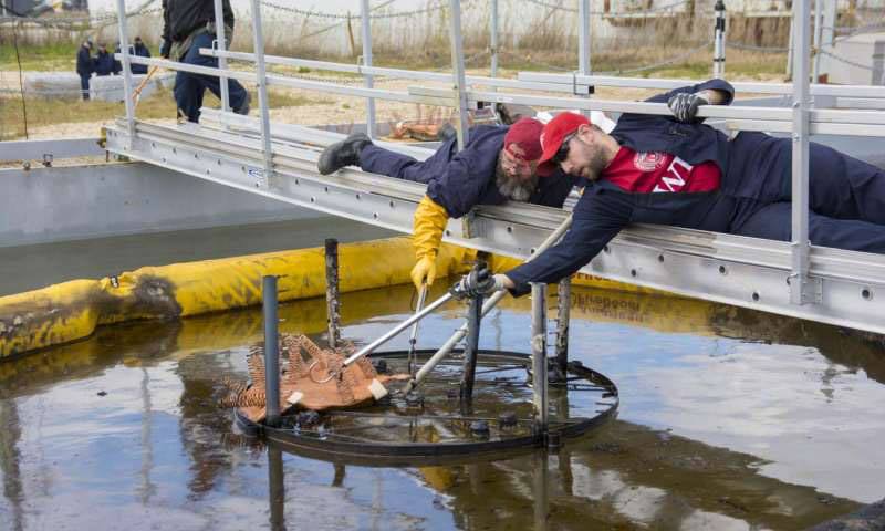 Novel Oil Spill Cleanup Technology Successfully Tested