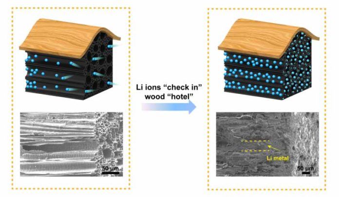 Safer Batteries Made With Wood