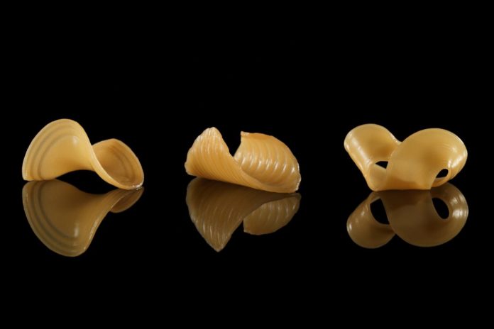 MIT 3D-printed The Shape-Shifting Noodles