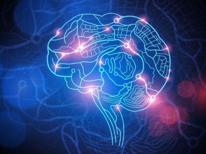 Algorithm Decrypts Brain-On-chip Signals