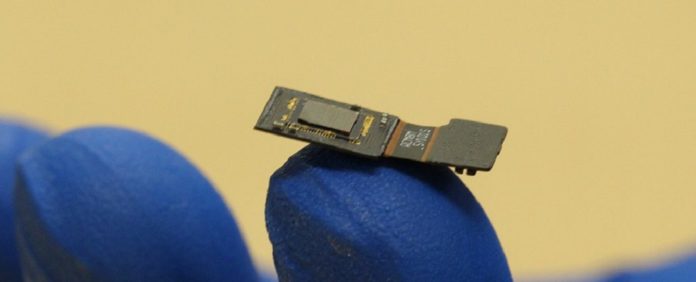 This Flat Microscope Implant Could Beam Sensory Input Directly to The Brain