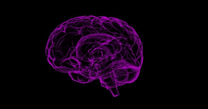 Brains Are More Plastic Than We Thought
