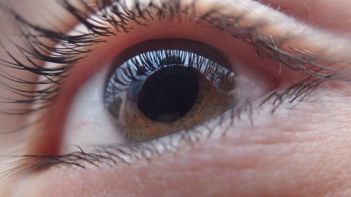 Gene Therapy Shows Promise for Reversing Blindness