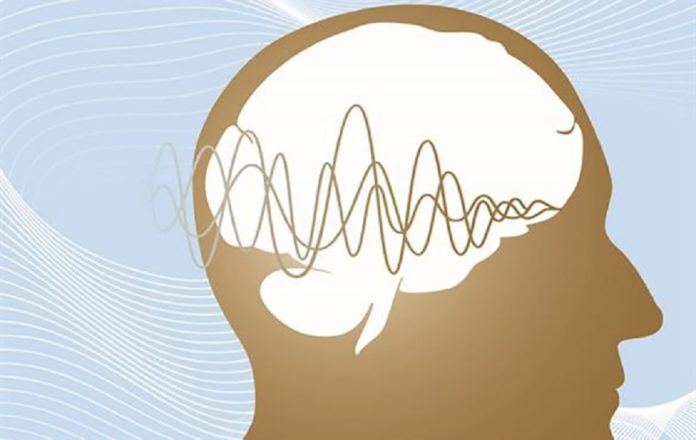 This is How our Brain Encodes Sounds