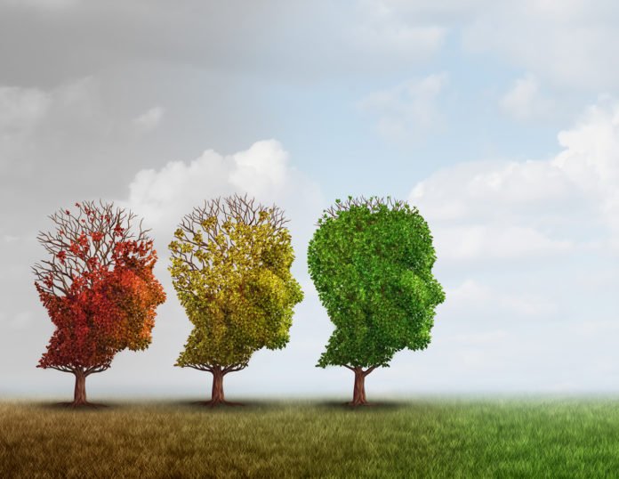 Higher Education Linked to Lower Alzheimer Risk