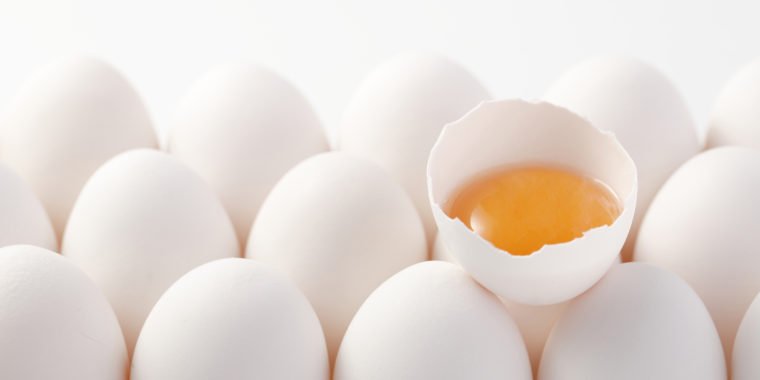 Feeding Eggs to Infants could Improve Biomarkers Related to Brain Development