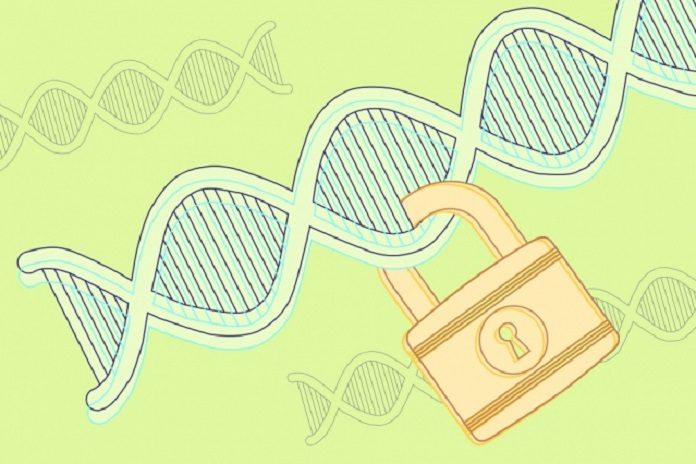 How Privacy Policies Affect Genetic Testing