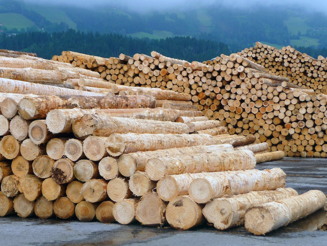 In cascade use, wood is used much more efficiently with a quota of 46 percent than in simple use.