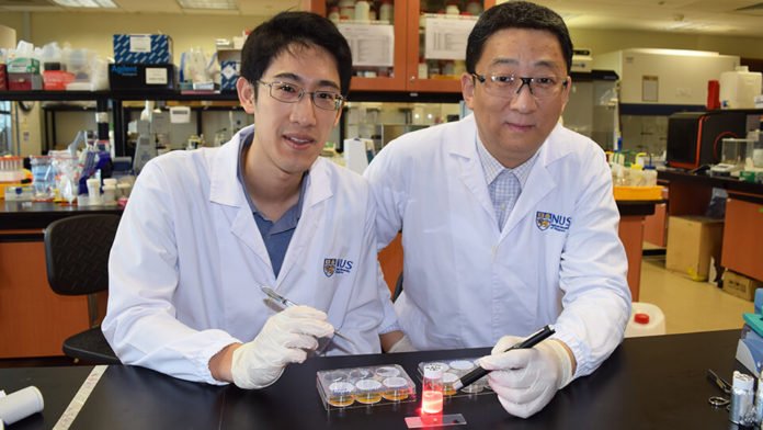 Scientists developed a wireless light switch for targeted cancer therapy