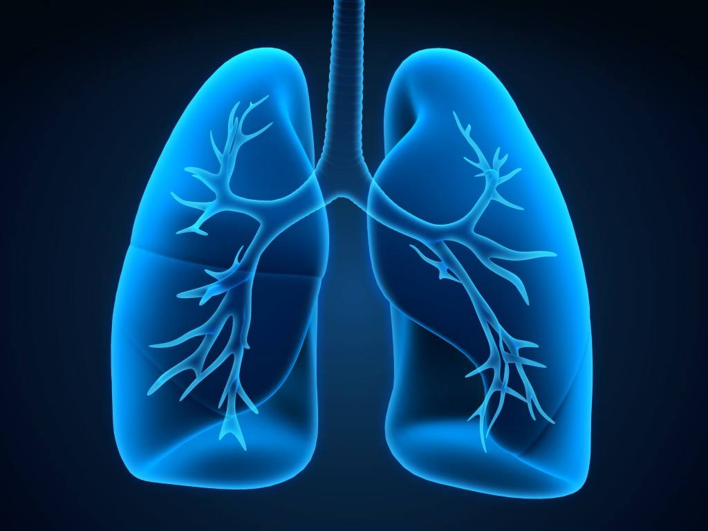 Researchers investigate the potential of lung restoration for transplant