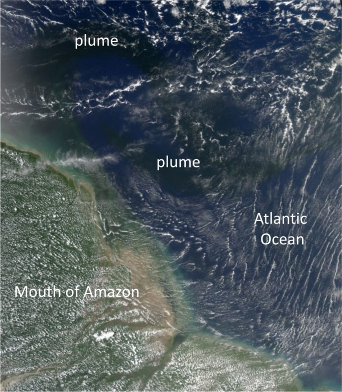 The dissolved organic carbon from the Amazon Rivers spreads into the Atlantic Ocean to be decomposed by solar radiation. The river plume containing terrestrial dissolved organic carbon can be seen as dark regions in the Atlantic Ocean. The picture taken on 30 September 2006 shows that the river plume has extended first about 700 km in the front of Guyana and turned there towards the open ocean