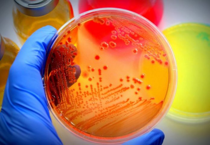 Children's drug-resistant bugs could stop common antibiotics working