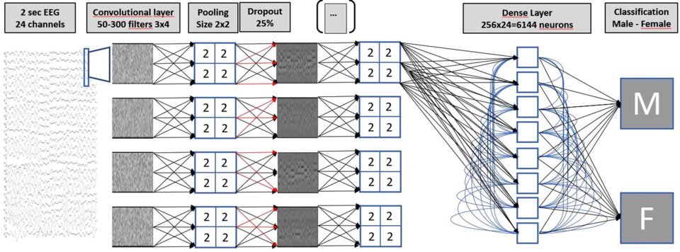 The multilayer neural net setup, used for classifying EEG readings