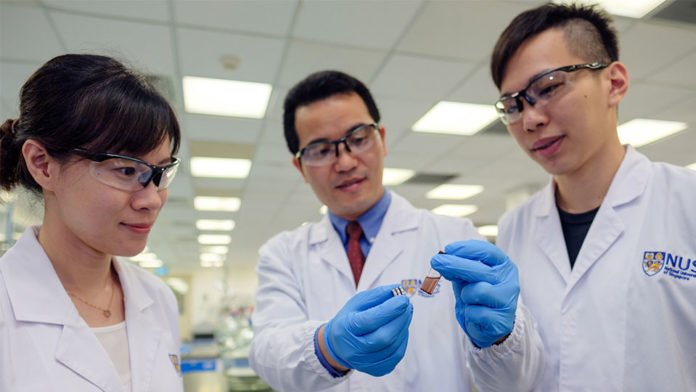 The research team led by Assistant Professor Yang Hongshun from the NUS Food Science and Technology Programme were behind the development of novel magnetic nanoparticles that could speed up the screening of pesticide residue in vegetables