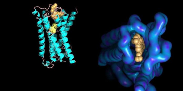 New study unveiled ways to measure the molecular interactions