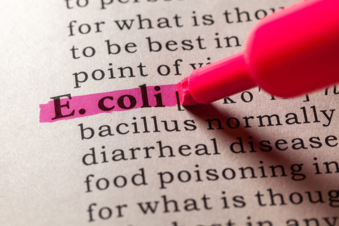 Antibiotic protection in children’s E. coli is high against many antibiotics