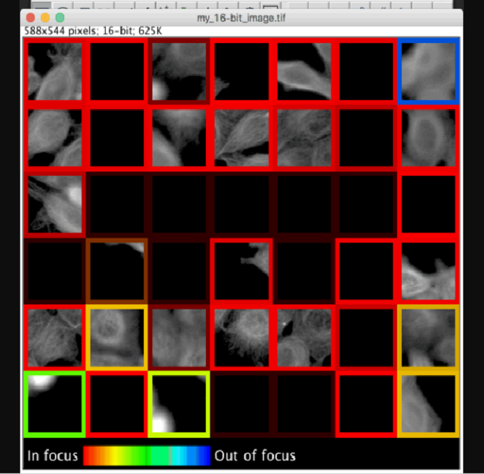 A pre-trained TensorFlow model rates focus quality for a montage of microscope image patches of cells in Fiji (ImageJ). Hue and lightness of the borders denote predicted focus quality and prediction uncertainty, respectively.