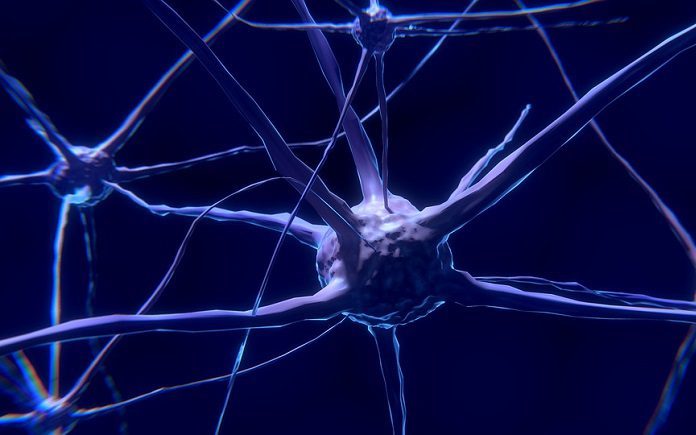 Findings could have significant implications for the way stimulation of acetylcholine is used to treat Alzheimer’s.