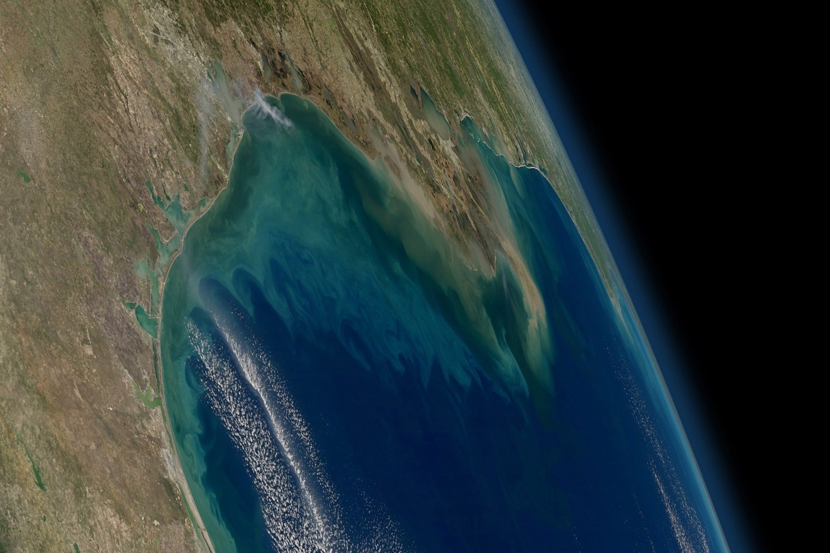 nutrient-rich runoff from the Mississippi and Atchafalaya rivers as seen from the International Space Station