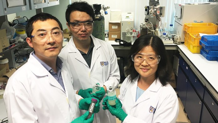 NUS engineers have found that a natural bacterium isolated from mushroom crop residue can contribute to greener and cheaper biofuel production