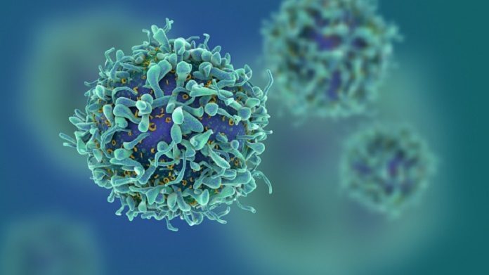 3d illustration of cancer cells