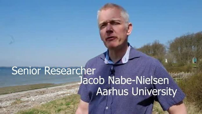 Jacob Nabe-Nielsen