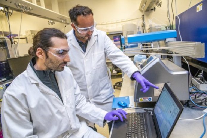 A new approach developed by Zak Costello (left) and Hector Garcia Martin brings the the speed and analytic power of machine learning to bioengineering. (Credit: Marilyn Chung, Berkeley Lab)