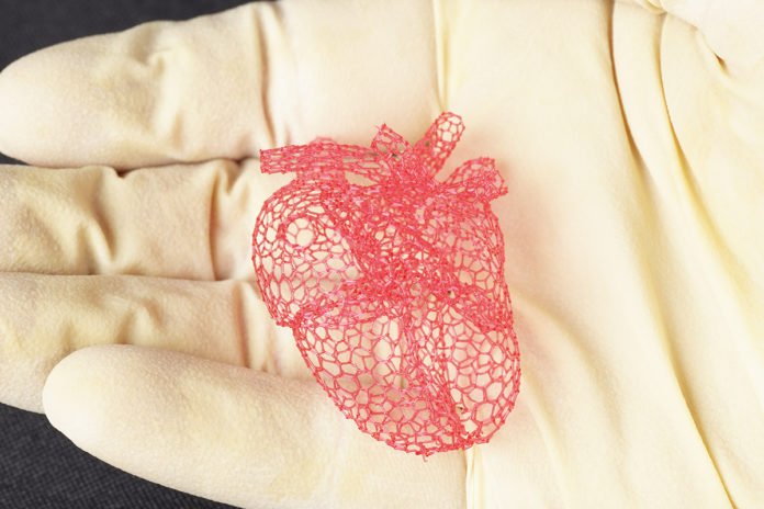 Freeform printing allows the researchers to make intricate structures, such as this model of a heart, that could not be made with traditional layer-by-layer 3-D printing. The structures could be used as scaffolds for tissue engineering or device manufacturing. Photo by Travis Ross, Beckman Institute