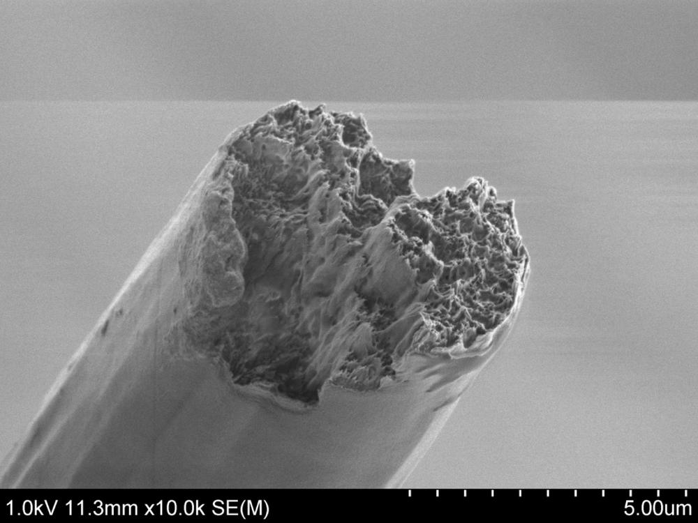 The resulting fibre seen with a scanning electron microscope (SEM). Credit: Nitesh Mittal, KTH Stockholm