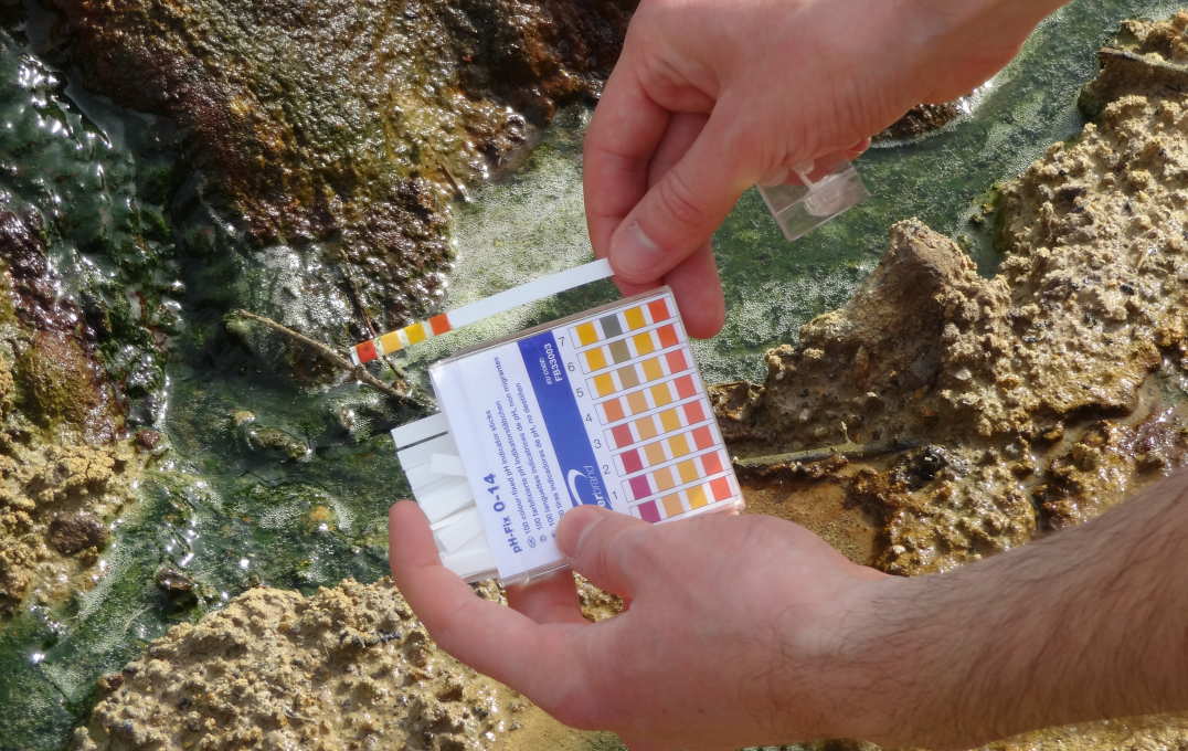 Scientist holding pH scale next to the stream, demonstrating acidity