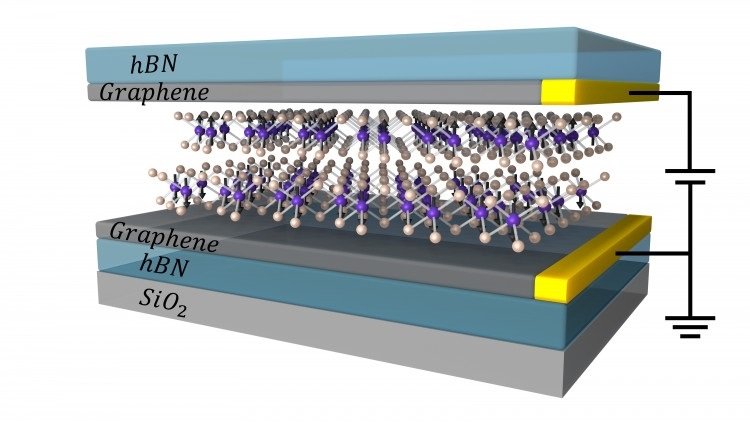 In the experiment, the researchers sandwiched two atomic layers of CrI3 between graphene contacts and measured the electron flow through the CrI3.Tiancheng Song