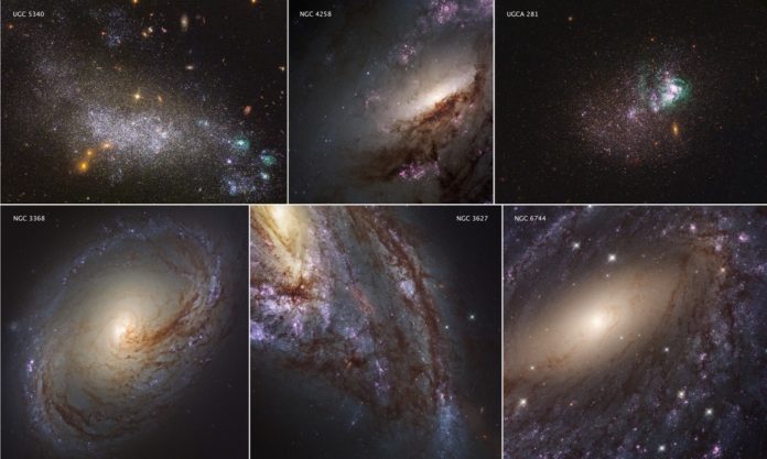 These six images represent the variety of star-forming regions in nearby galaxies. The galaxies are part of the Hubble Space Telescope's Legacy ExtraGalactic UV Survey (LEGUS), the sharpest, most comprehensive ultraviolet-light survey of star-forming galaxies in the nearby universe. The six images consist of two dwarf galaxies (UGC 5340 and UGCA 281) and four large spiral galaxies (NGC 3368, NGC 3627, NGC 6744, and NGC 4258). The images are a blend of ultraviolet light and visible light from Hubble's Wide Field Camera 3 and Advanced Camera for Surveys. Credits: NASA/ESA/LEGUS team