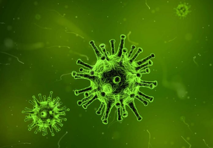 Discovery of immune cells able to defend against mutating viruses could transform vaccine development