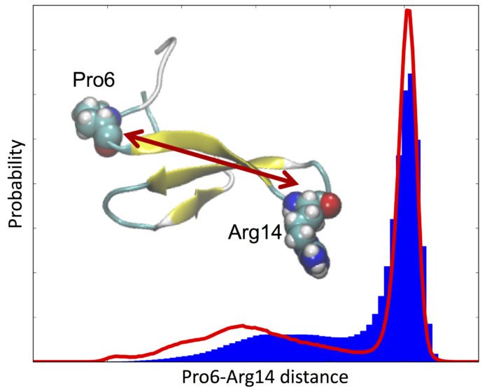 Förster resonance energy transfer can measure the distance between two probes during the dynamic movement of a protein. The Observable-driven Design of Effective Molecular Models method developed by scientists at Rice University can adjust a protein model to improve the agreement between experimental data and simulated results. (Credit: Illustration by Clementi Research Group/Rice University)