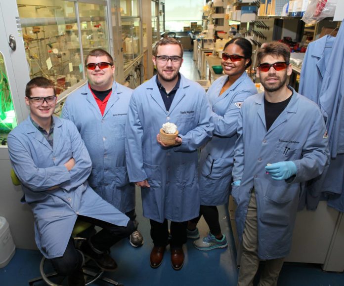 Todd Hyster’s research group has found a way to make a naturally occurring enzyme take on a new, artificial role. From left: David Miller, postdoctoral researcher; Kyle Biegasiewicz, postdoctoral researcher; Todd Hyster, assistant professor of chemistry, holding a 3-D printed model of the enzyme; Megan Emmanuel, graduate student; Simon Cooper, graduate student. Photo byC. Todd Reichart, Department of Chemistry