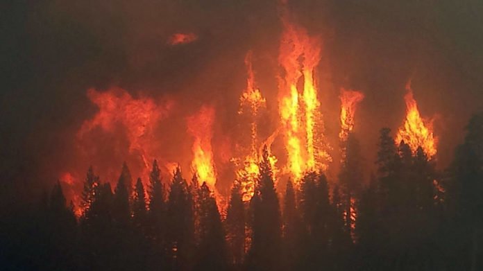 The 2014 King Fire. Credits: USFS