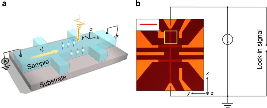 Direct visualization of current-induced spin accumulation in topological insulators